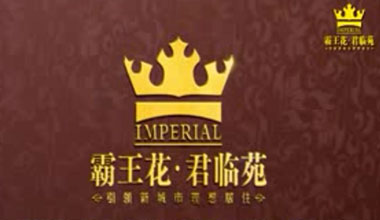 霸王花地產(chǎn)?君臨苑