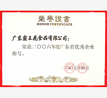 廣東省優(yōu)秀企業(yè)