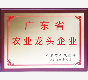 廣東省農(nóng)業(yè)龍頭企業(yè)