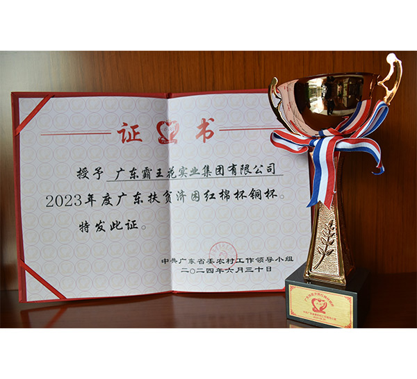 2023年度廣東扶貧濟(jì)困紅棉杯銅杯