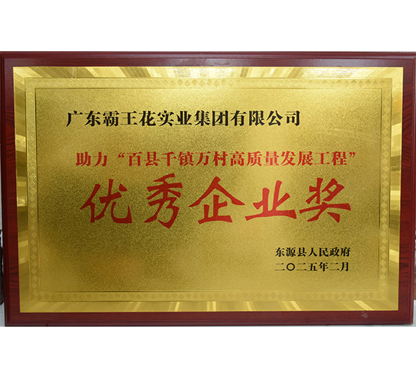 助力“百縣千鎮(zhèn)萬村高質(zhì)量發(fā)展工程”優(yōu)秀企業(yè)