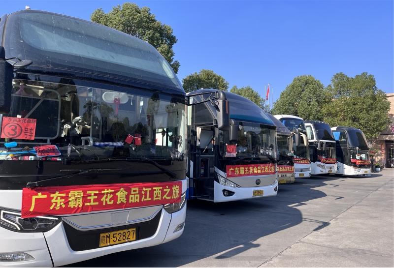 1699436464675140.jpg 圖片10.jpg